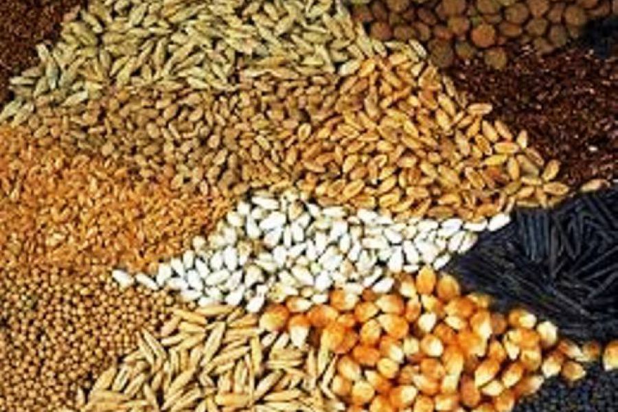 Agroindustria presentó proyecto de Ley de Semillas