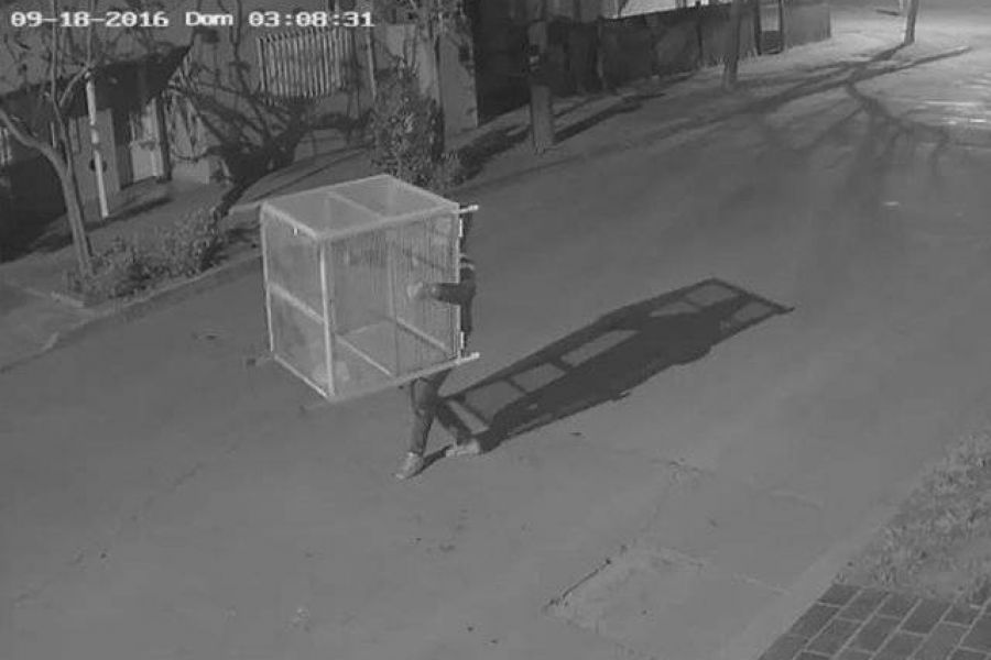 Camara de Seguridad - Imagen ASI