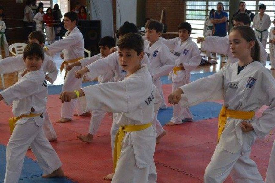 Open Taekwondo WTF - Foto Gustavo Grenon