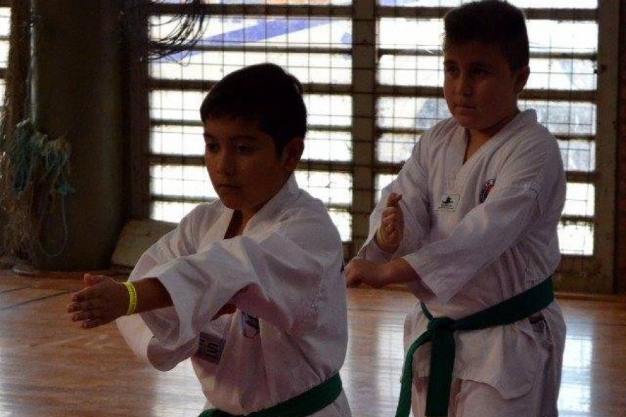 Open Taekwondo WTF - Foto Gustavo Grenon