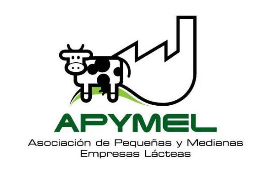 Logo Apymel