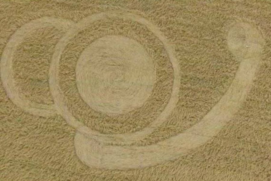 Que ocurre en los campos de Malabrigo?