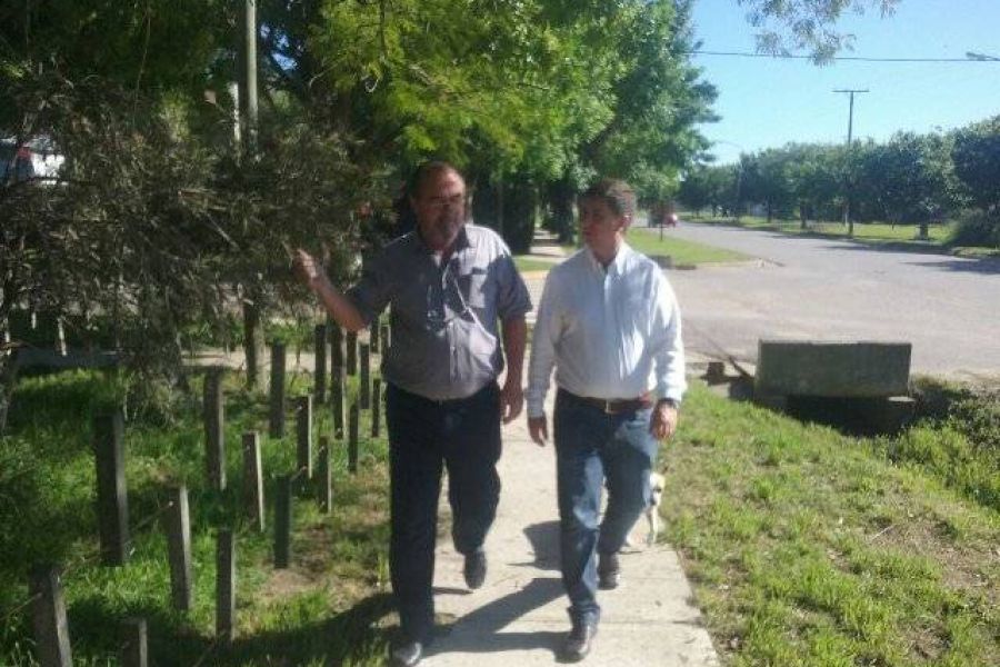 Pirola por la region