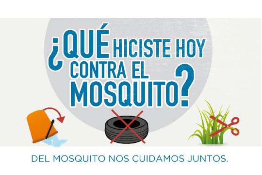 Prevencion Dengue - Afiche Presidencia