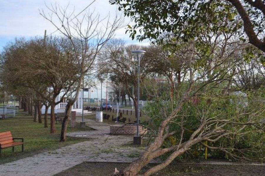 Temporal en Las Colonias - Foto FM Spacio