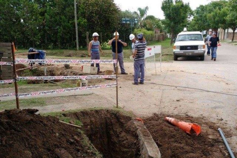 Trabajos de la Cooperativa - Foto FM Spacio