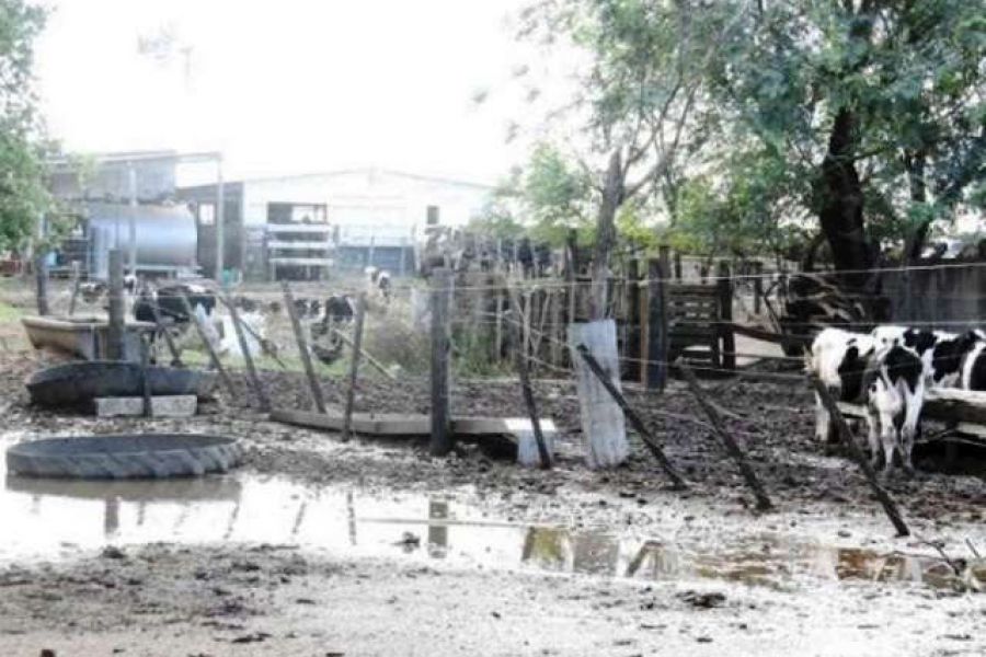 Se aprobó el fondo que destinará $ 400 millones a productores