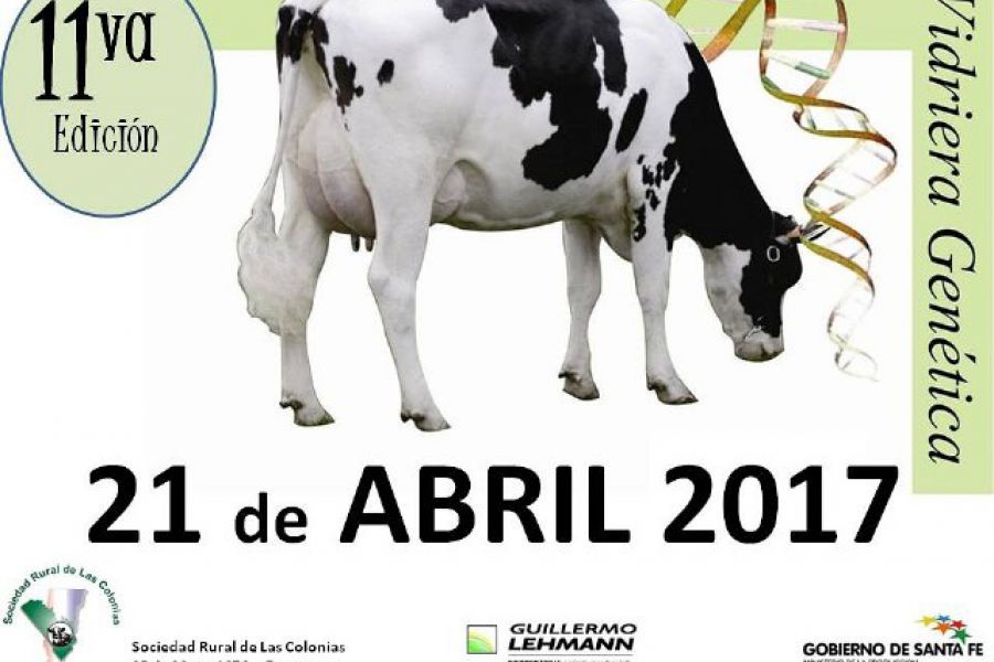 La próxima semana llega la 11ª Edición de la VG