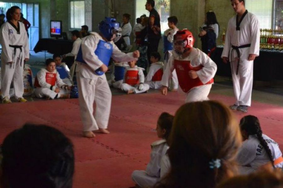 Encuentro Infantil Taekwondo WTF