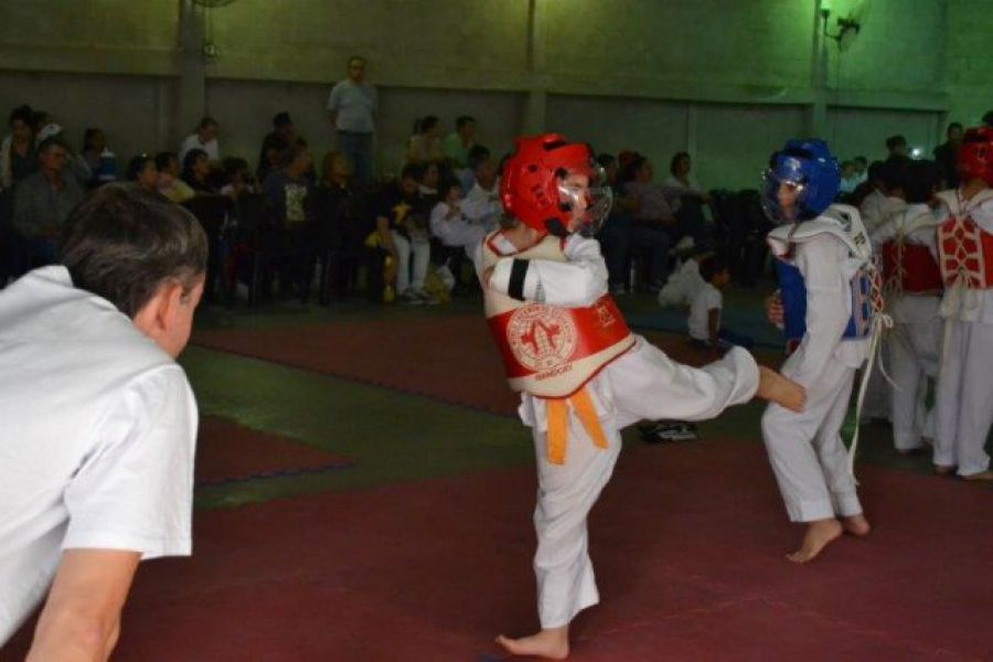 Encuentro Infantil Taekwondo WTF