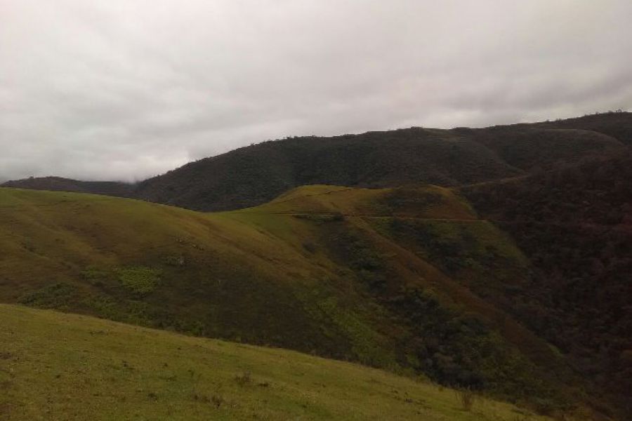 Marcelo Degiorgio en Tucuman