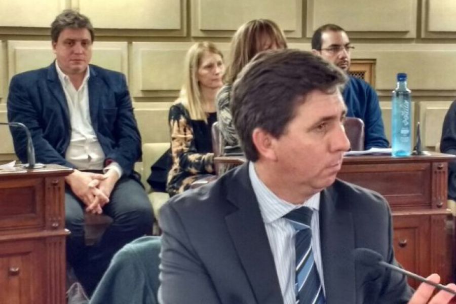 Pirola en  la Camara de Senadores