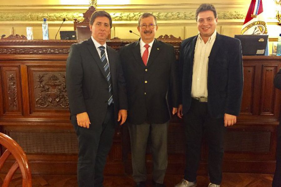 Pirola en  la Camara de Senadores