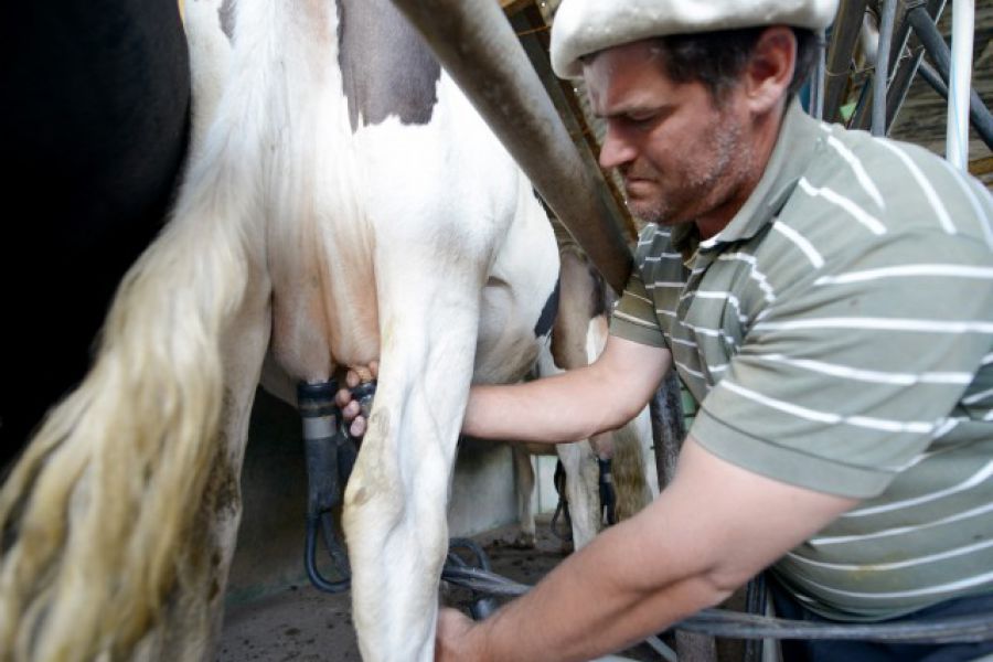 Tambo Argentino - Foto Ministerio Agroindustria