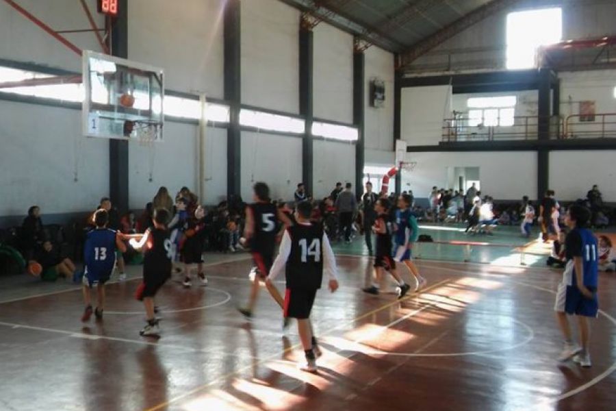 CAF Basquet Mini y Premini