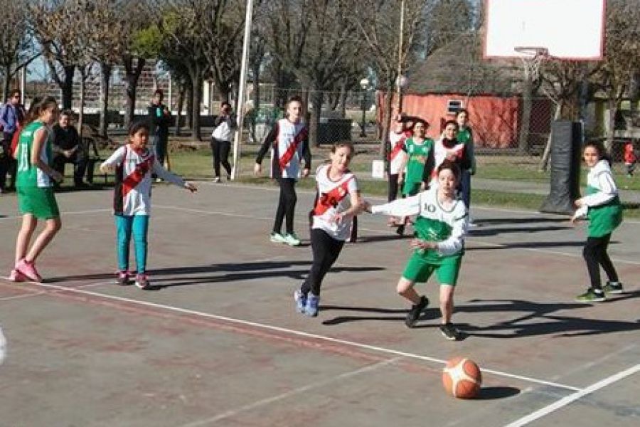CAF Basquet Mini y Premini