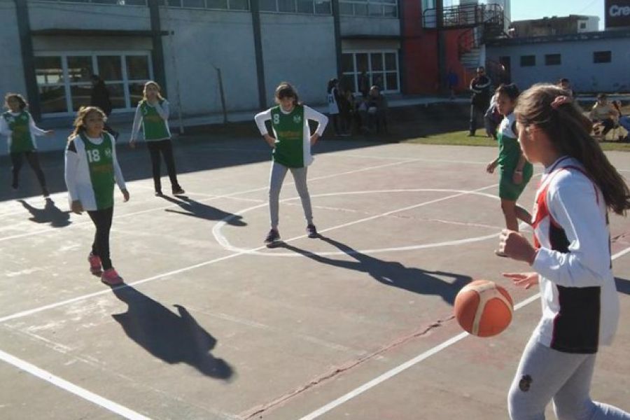 CAF Basquet Mini y Premini