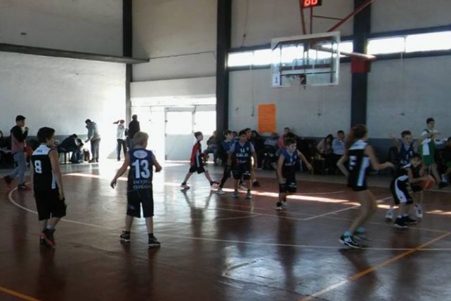 CAF Basquet Mini y Premini