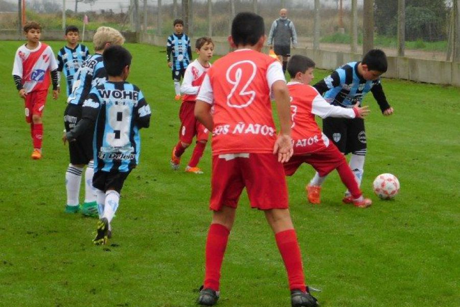 LEF Inferiores CSyDA vs CAJU - PH Netu