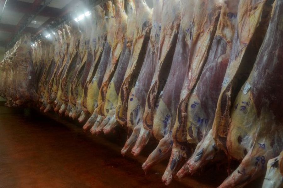 Se inician las pruebas piloto con Controladores Electrónicos de Faena