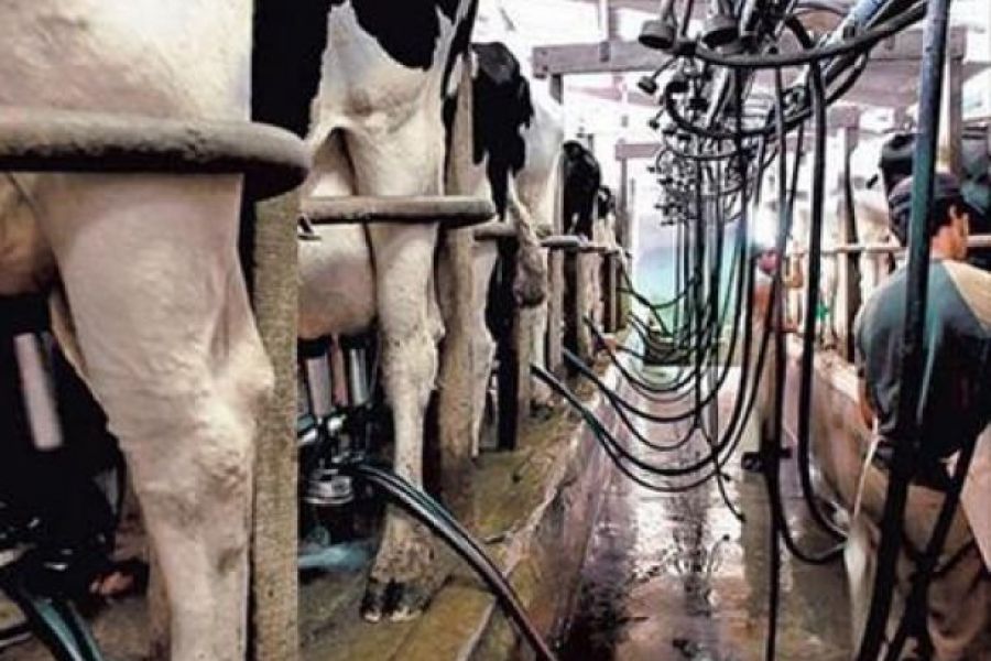 La Consignataria Láctea de Santa Fe vende 1,3 millones de litros mensuales