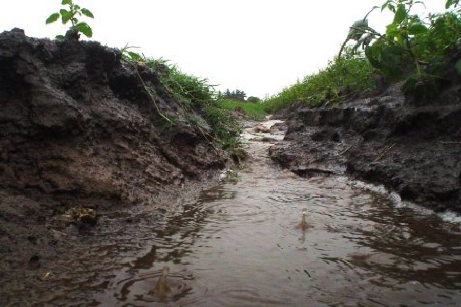 Erosion de suelos - Foto INTA