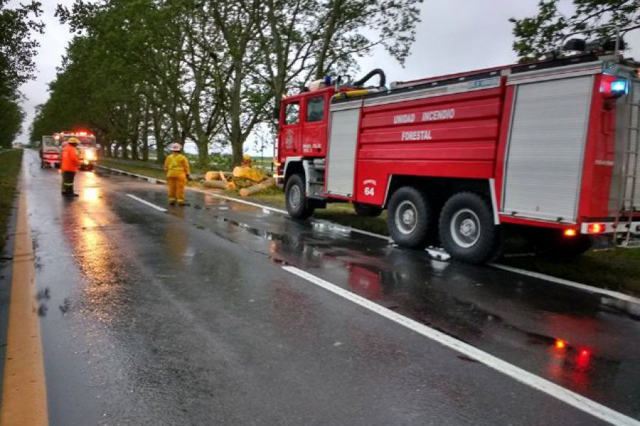 Temporal en Franck - Foto Bomberos Voluntarios