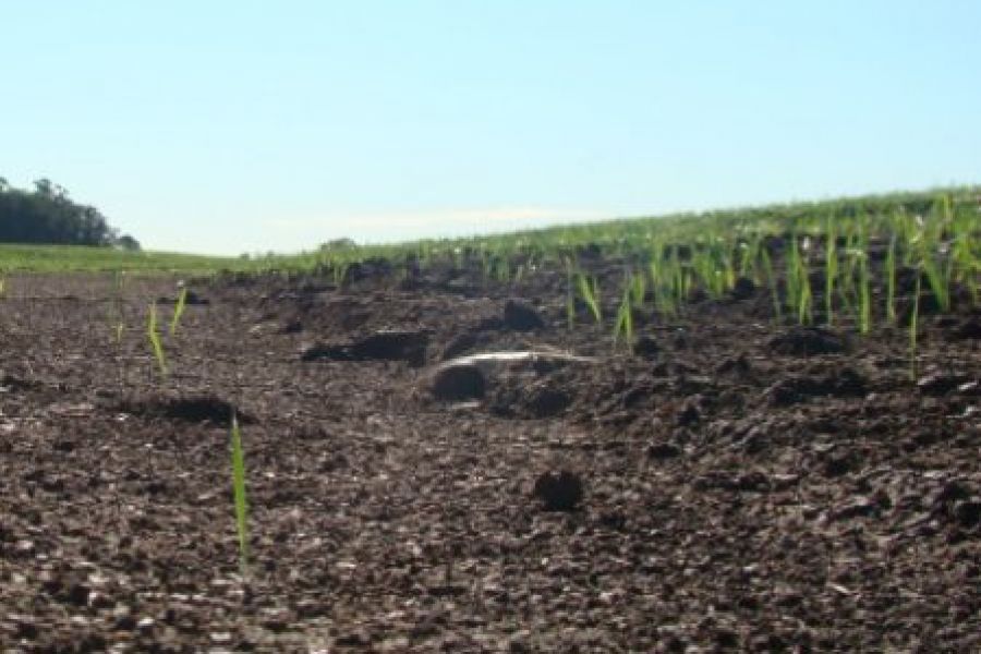 Erosion de suelos - Foto INTA