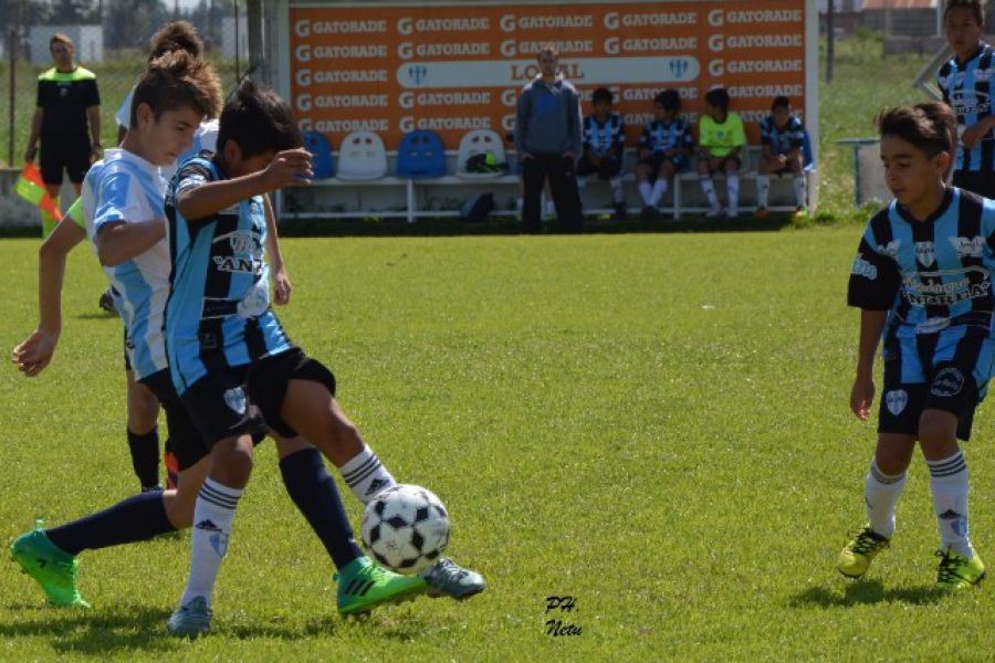 LEF inferiores CSyDA vs SLFC - PH Netu