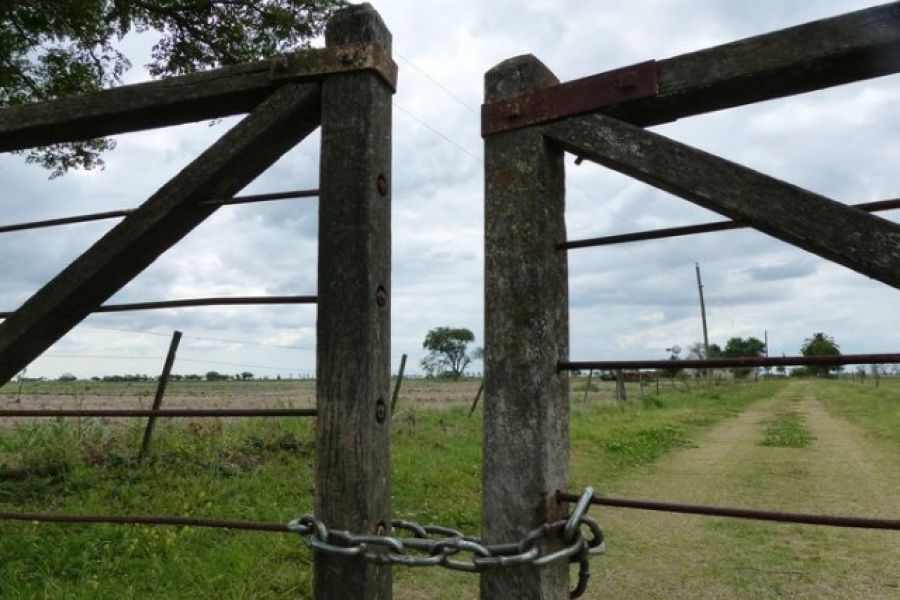 Después de las PASO, cayó la actividad inmobiliaria rural