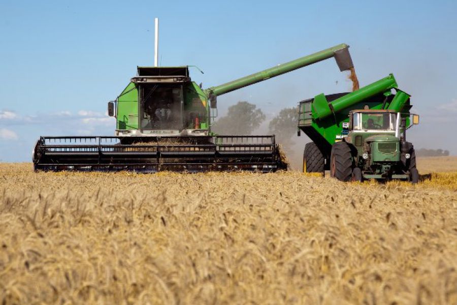 Cosecha de Trigo - Foto Ministerio de AgroIndustria
