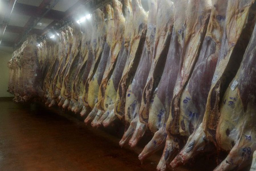 Establecen procedimiento para acceder a la Cuota Hilton 2018/2019