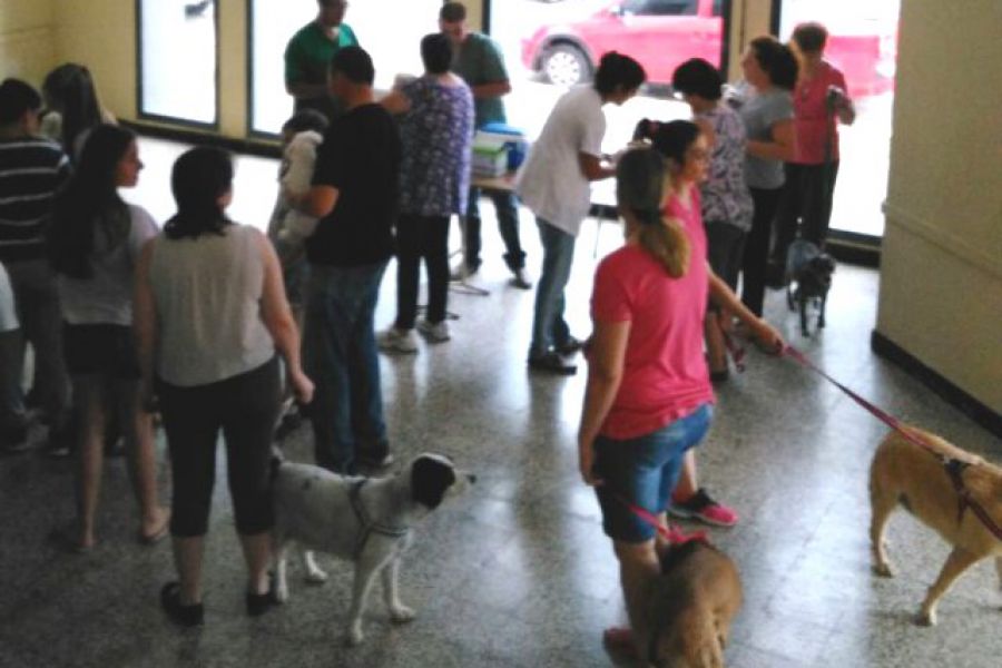 Vacunacion Antirrabica - Foto Comuna de Franck