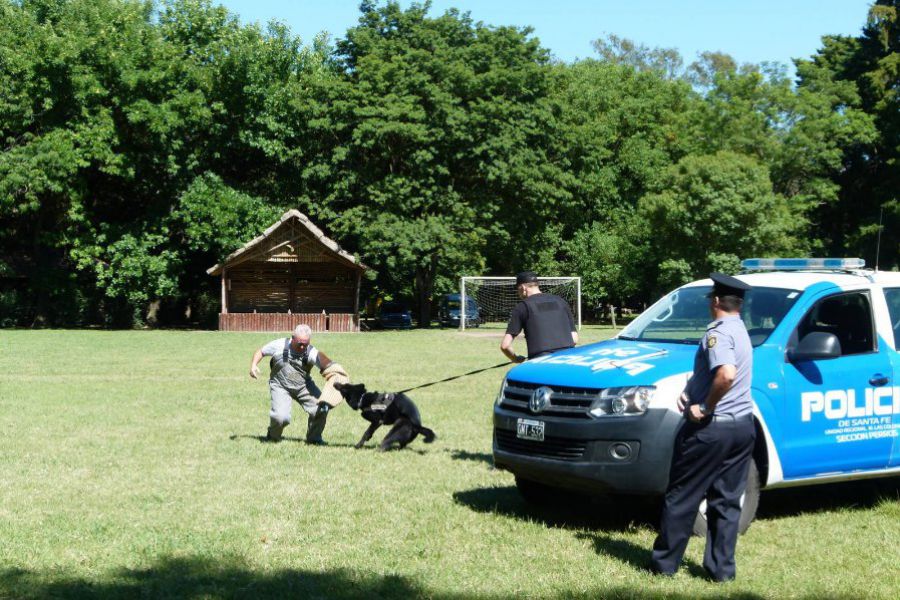 Entrenamiento canino - Foto URXI