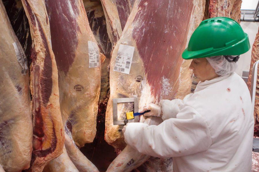 Frigorifico - Foto Ministerio de AgroIndustria