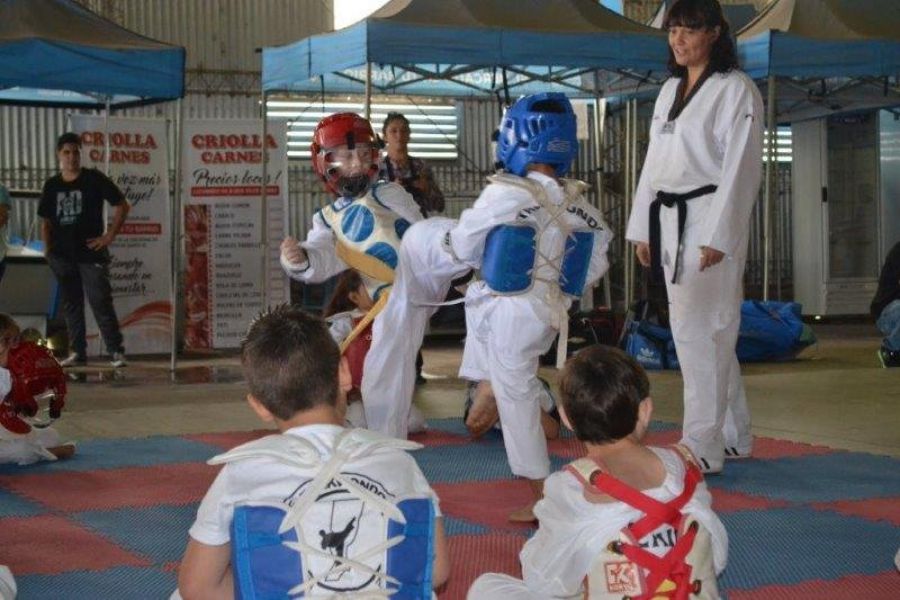 Taekwondo WT del CSyDA