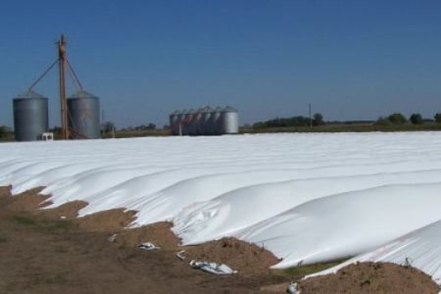 Almacenaje de granos en Silo