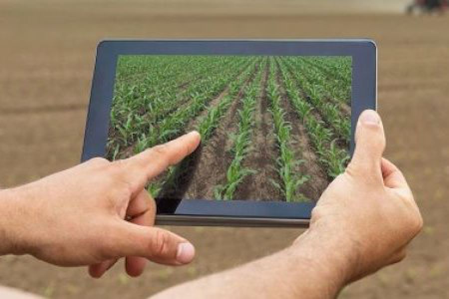 Tablet para el agro