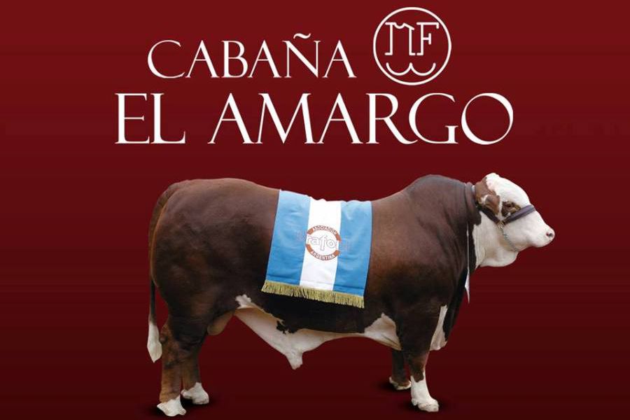 Santafesinos exportarán animales en pie a Colombia