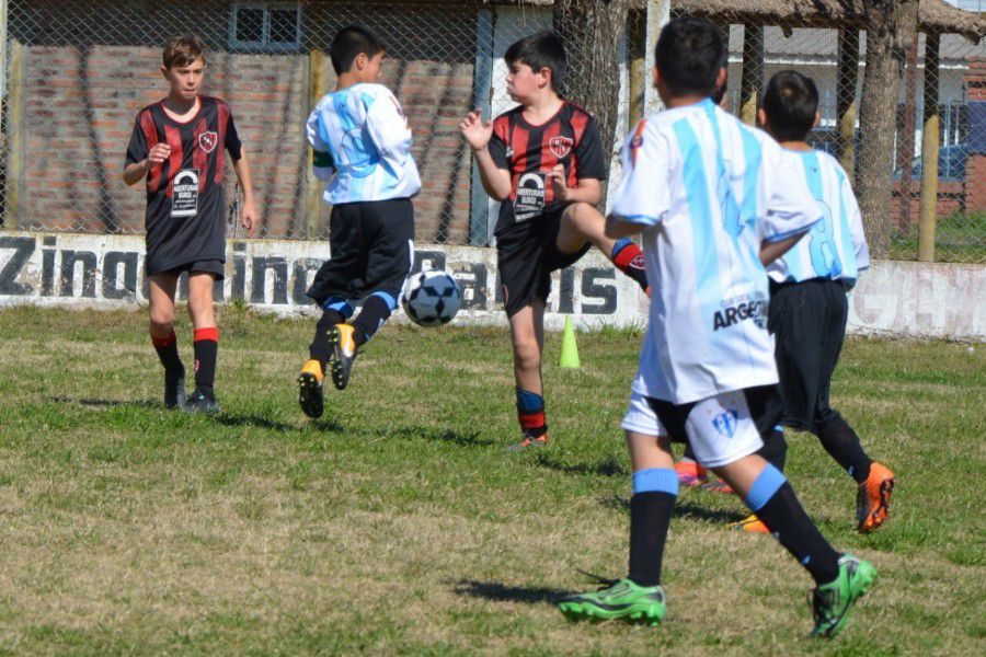 LEF Inferiores CSyDA vs CAL