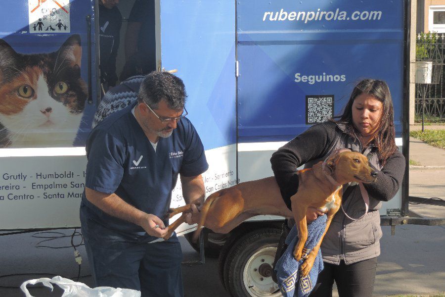 Mascotas en Plaza del Trabajador - Foto CdF