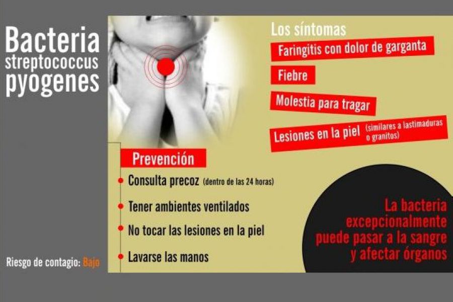 La bacteria que nos ocupa y preocupa