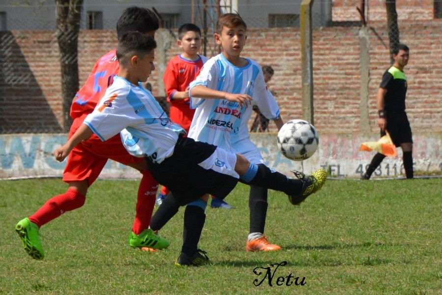 LEF Inferiores CSyDA vs CAJLP