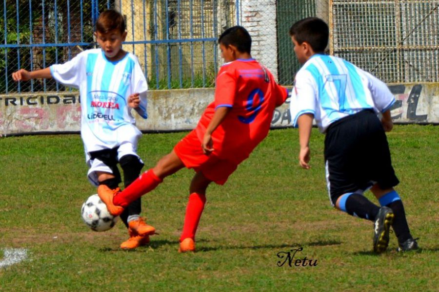 LEF Inferiores CSyDA vs CAJLP
