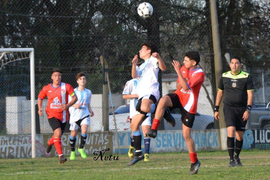 LEF Inferiores CSyDA vs CAJLP