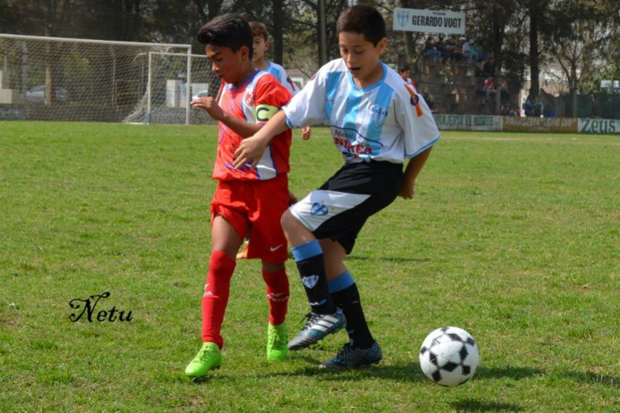 LEF Inferiores CSyDA vs CAJLP
