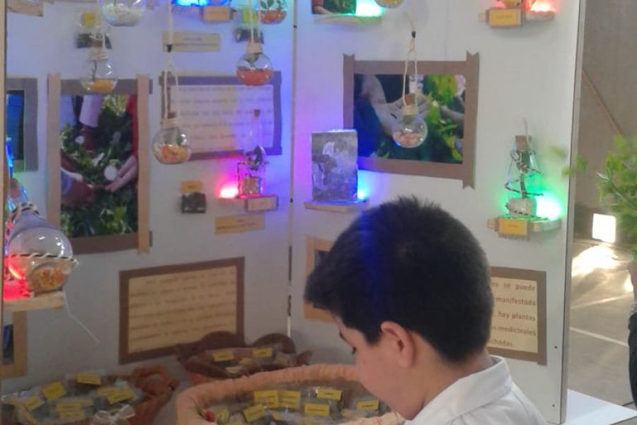 Eureka en Escuela Primaria 321