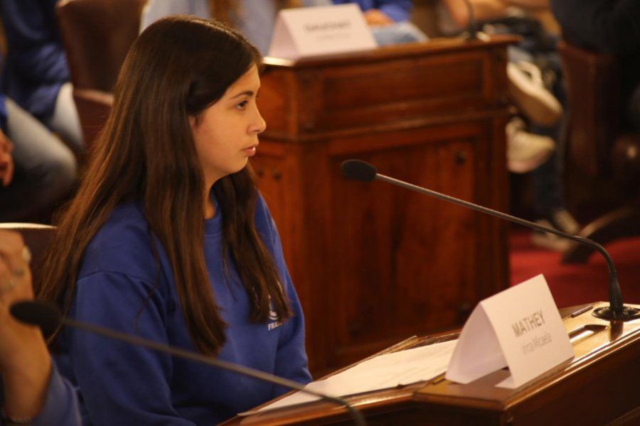 Ciudadanos al Senado