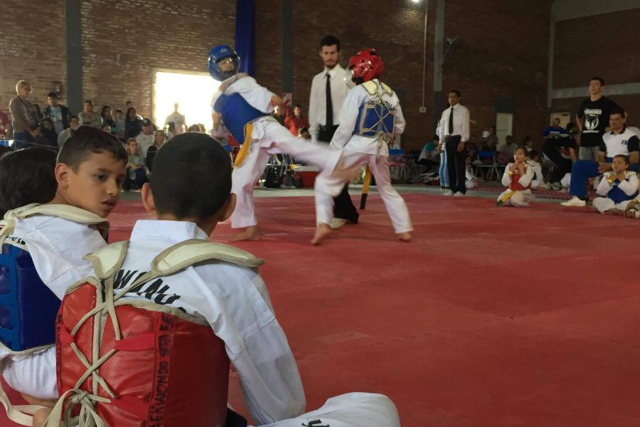 Taekwondo CSyDA - Foto Prensa CdF