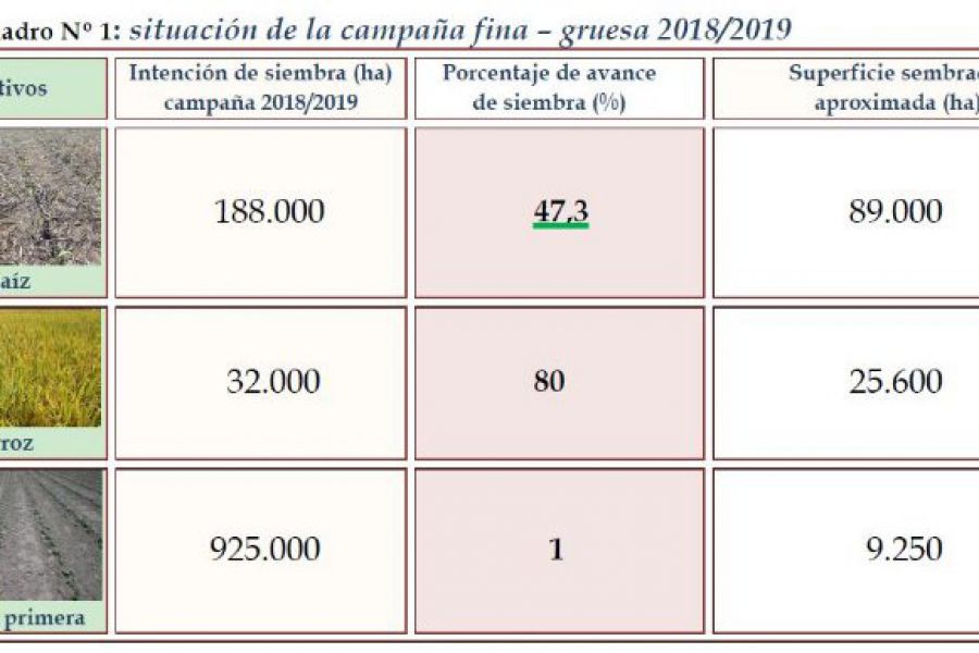 Cuadro - Campaña fina